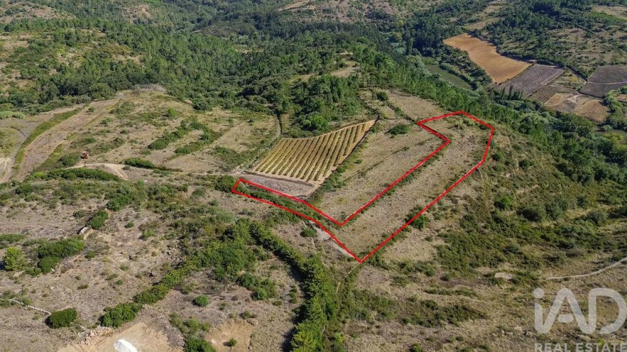 Terreno para Venda em Igreja Nova e Cheleiros Foto 2