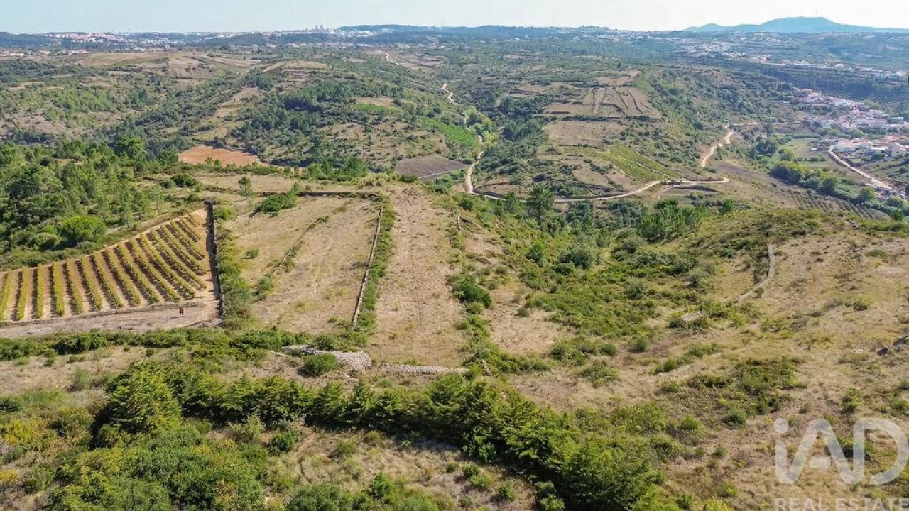 Terreno para Venda em Igreja Nova e Cheleiros Foto 20