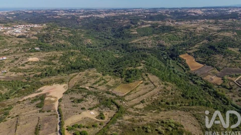 Terreno para Venda em Igreja Nova e Cheleiros