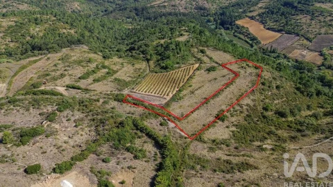 Terreno para Venda em Igreja Nova e Cheleiros