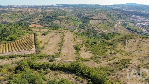 Terreno para Venda em Igreja Nova e Cheleiros