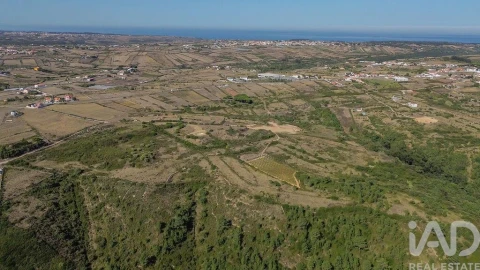 Terreno para Venda em Igreja Nova e Cheleiros