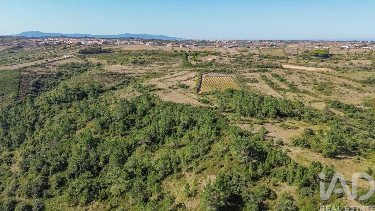Terreno para Venda em Igreja Nova e Cheleiros Foto 17
