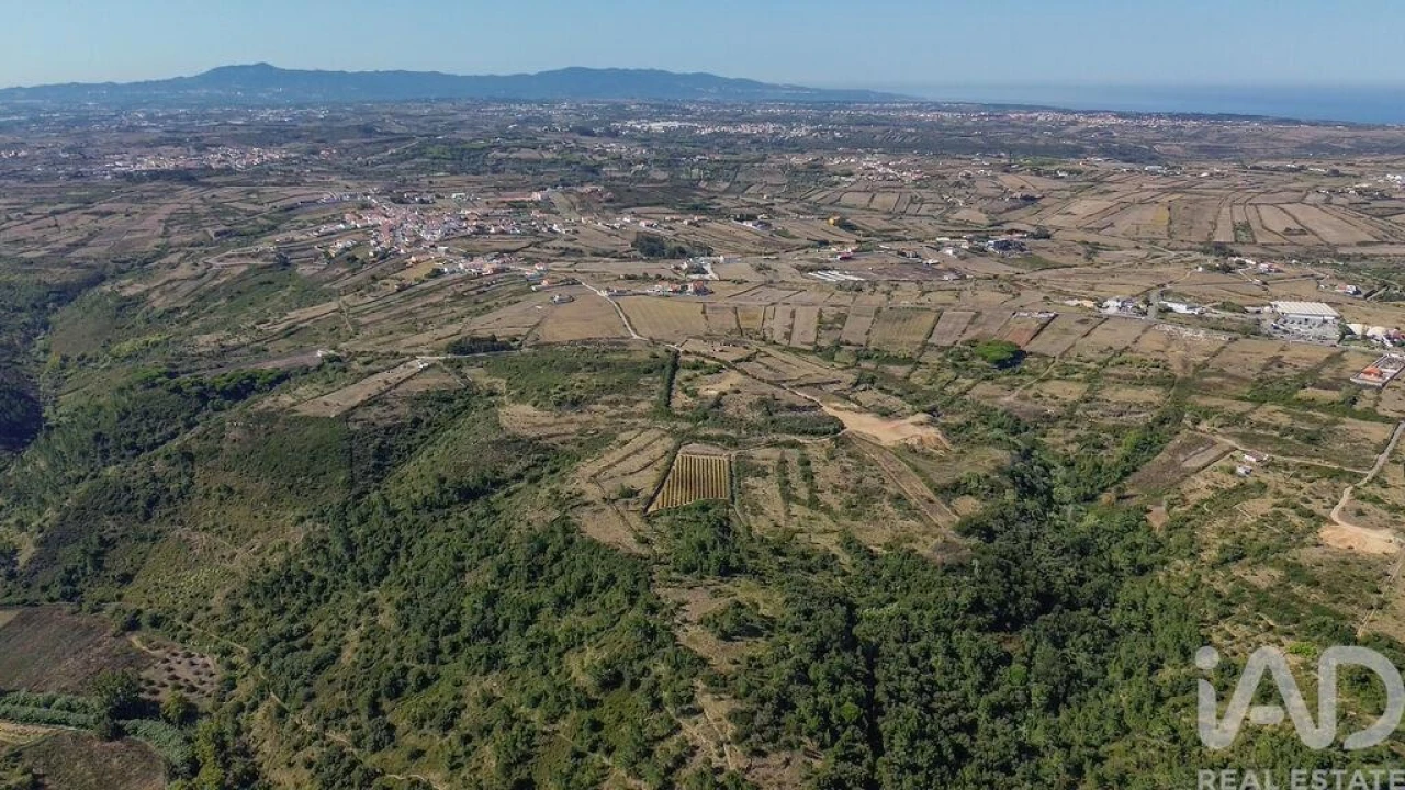 Terreno para Venda em Igreja Nova e Cheleiros Foto 16