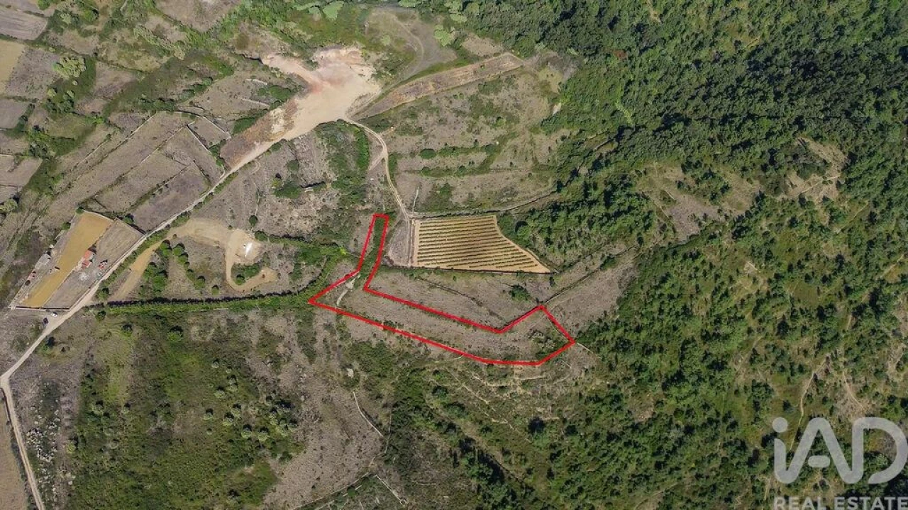 Terreno para Venda em Igreja Nova e Cheleiros Foto 15