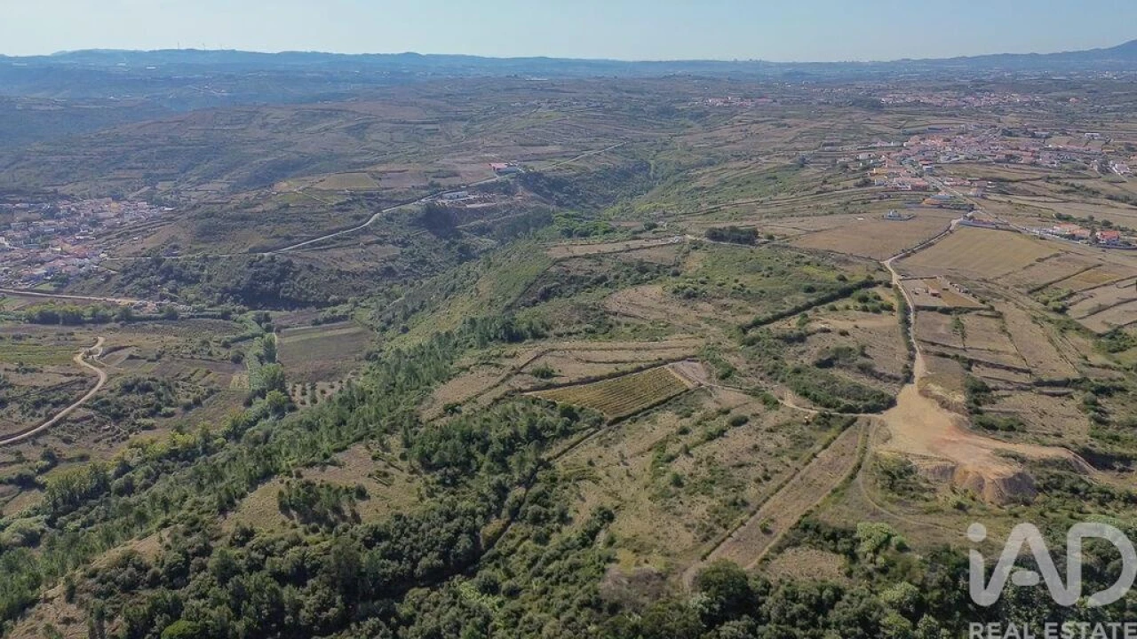 Terreno para Venda em Igreja Nova e Cheleiros Foto 8