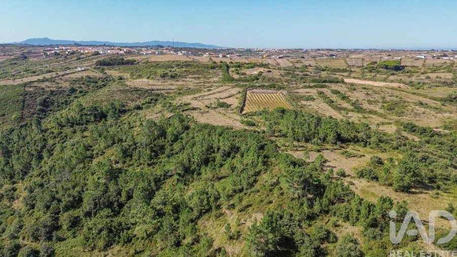 Terreno para Venda em Igreja Nova e Cheleiros Foto 17