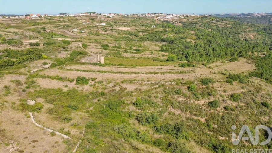 Terreno para Venda em Igreja Nova e Cheleiros Foto 22