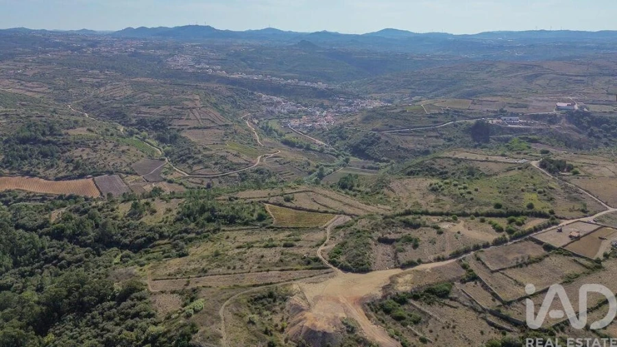 Terreno para Venda em Igreja Nova e Cheleiros Foto 6