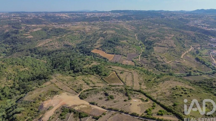 Terreno para Venda em Igreja Nova e Cheleiros Foto 12