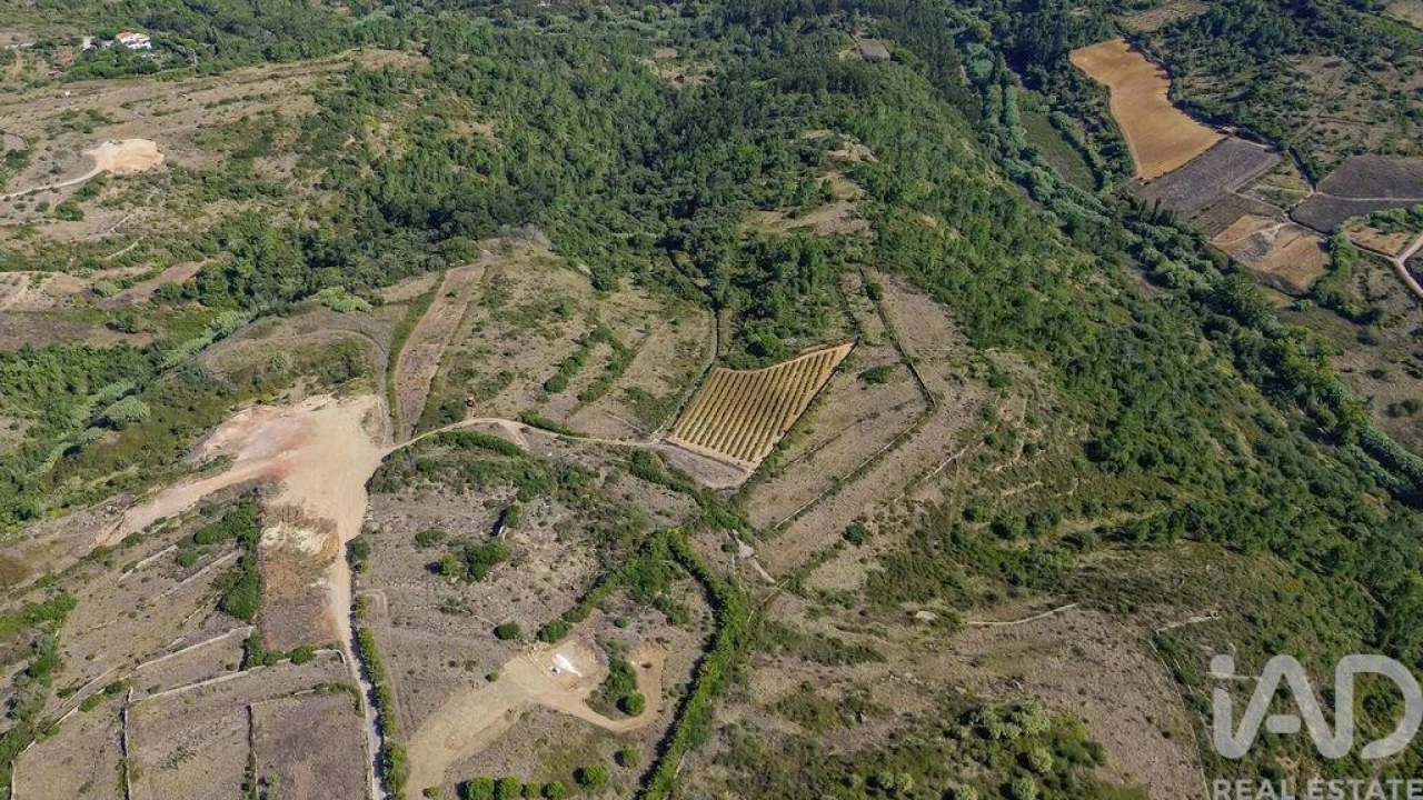 Terreno para Venda em Igreja Nova e Cheleiros Foto 11