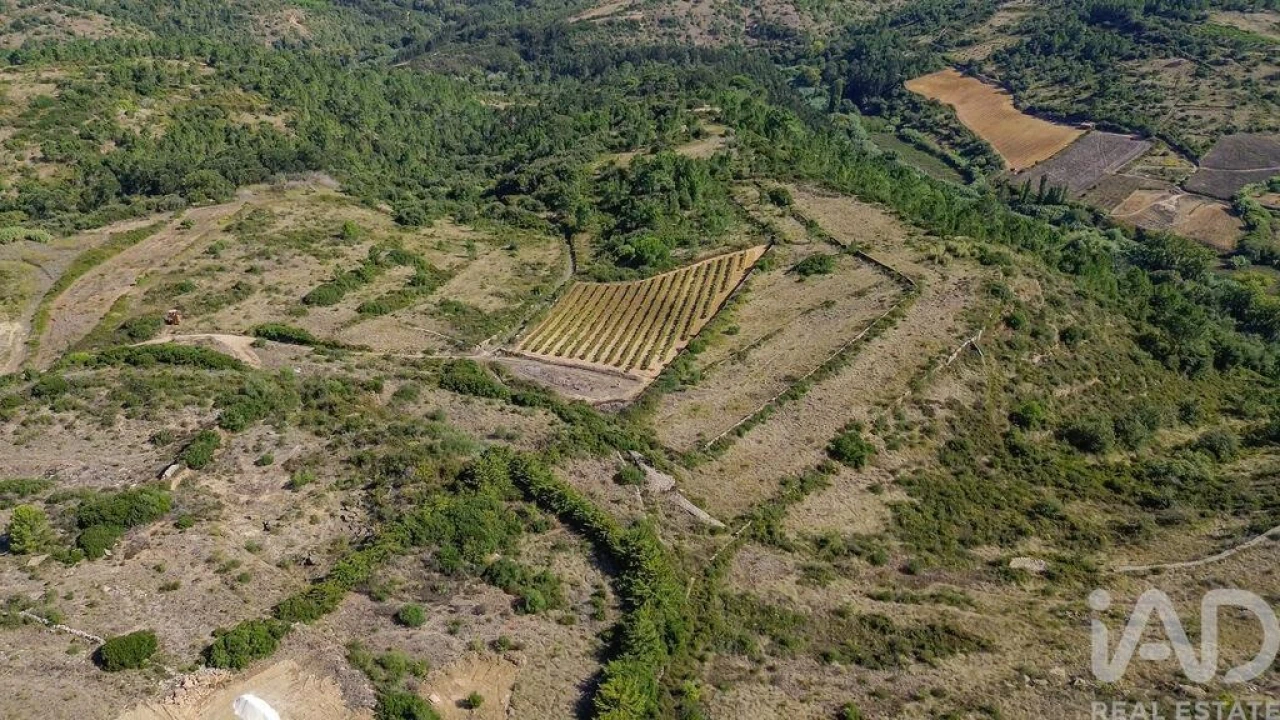 Terreno para Venda em Igreja Nova e Cheleiros Foto 1