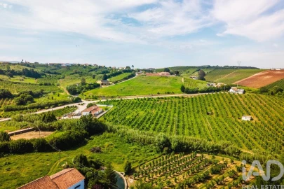 Terreno para Venda em Peral