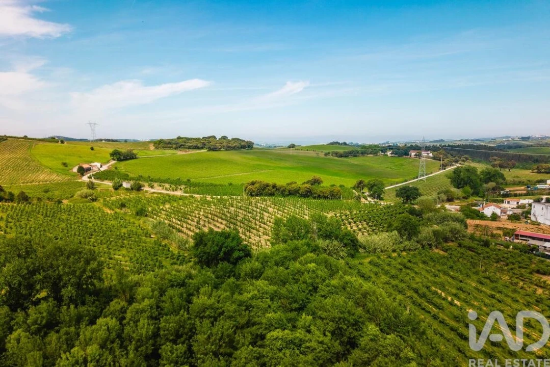 Terreno para Venda em Peral Foto 14