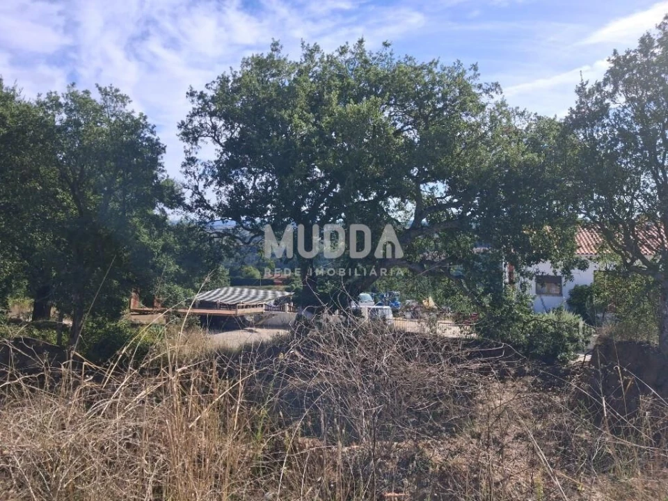 Terreno para Venda em A dos Negros Foto 3