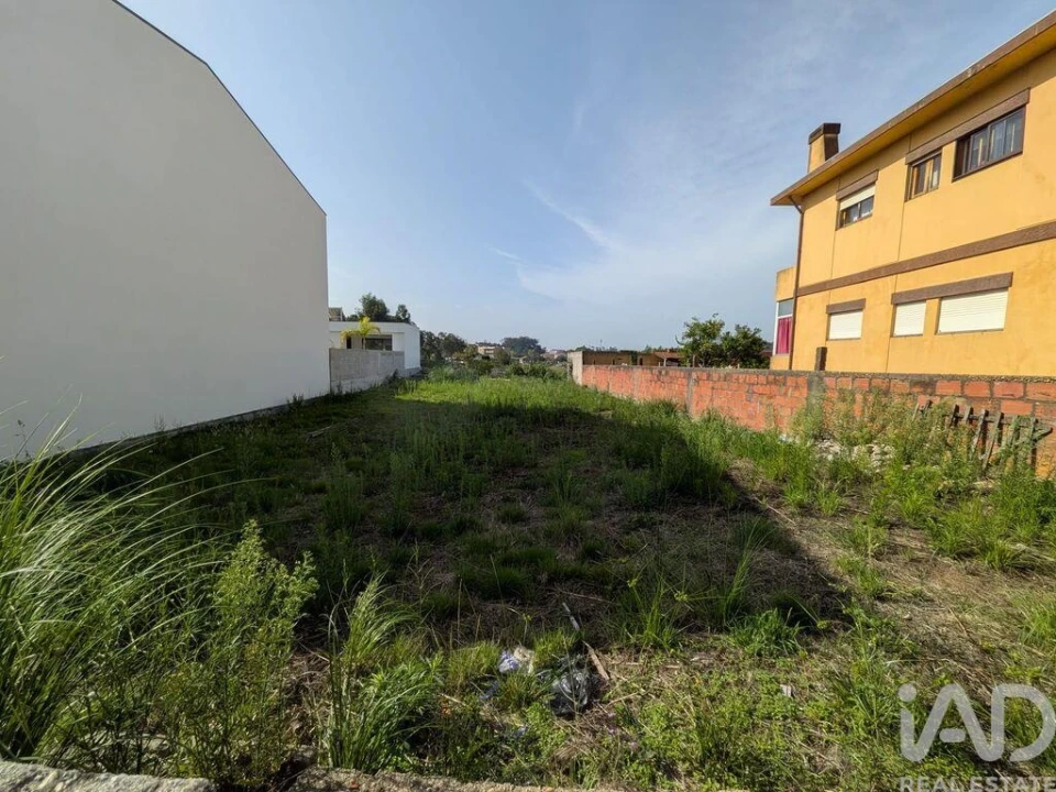 Terreno para Venda em Madalena Foto 8