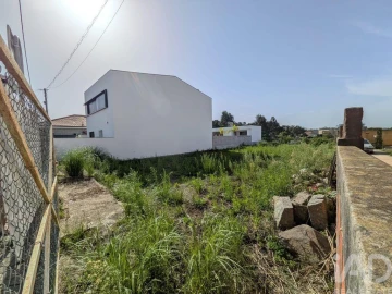 Terreno para Venda em Madalena