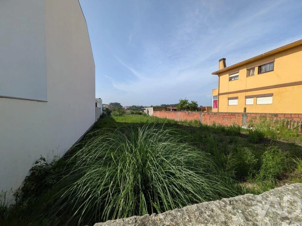 Terreno para Venda em Madalena Foto 6