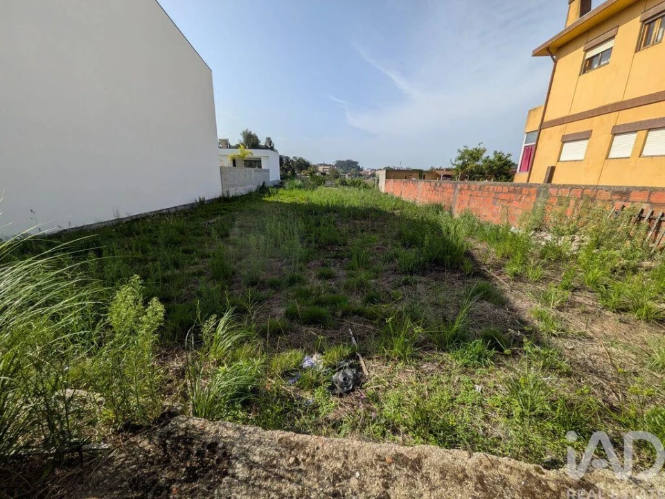 Terreno para Venda em Madalena Foto 7