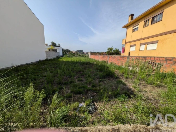 Terreno para Venda em Madalena Foto 4