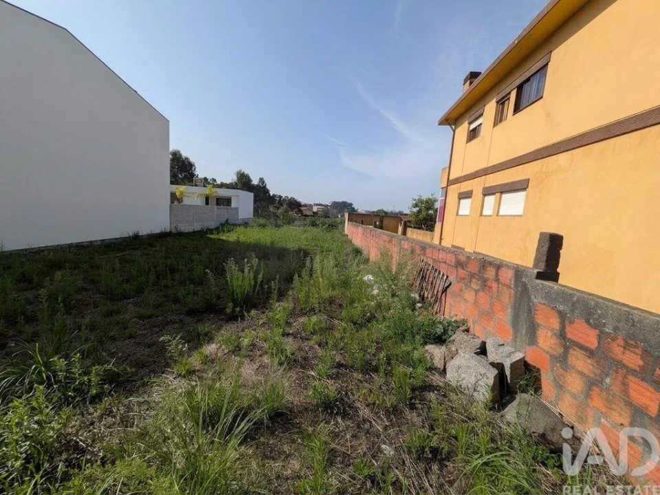 Terreno para Venda em Madalena Foto 1