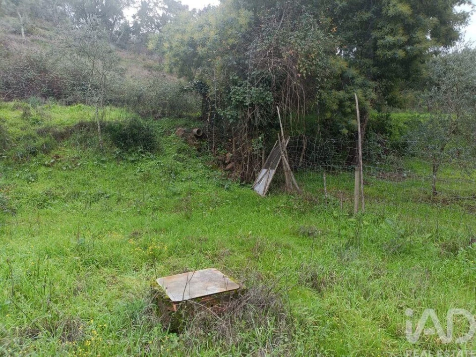 Prédio para Venda em Nossa Senhora da Graça do Divor Foto 13