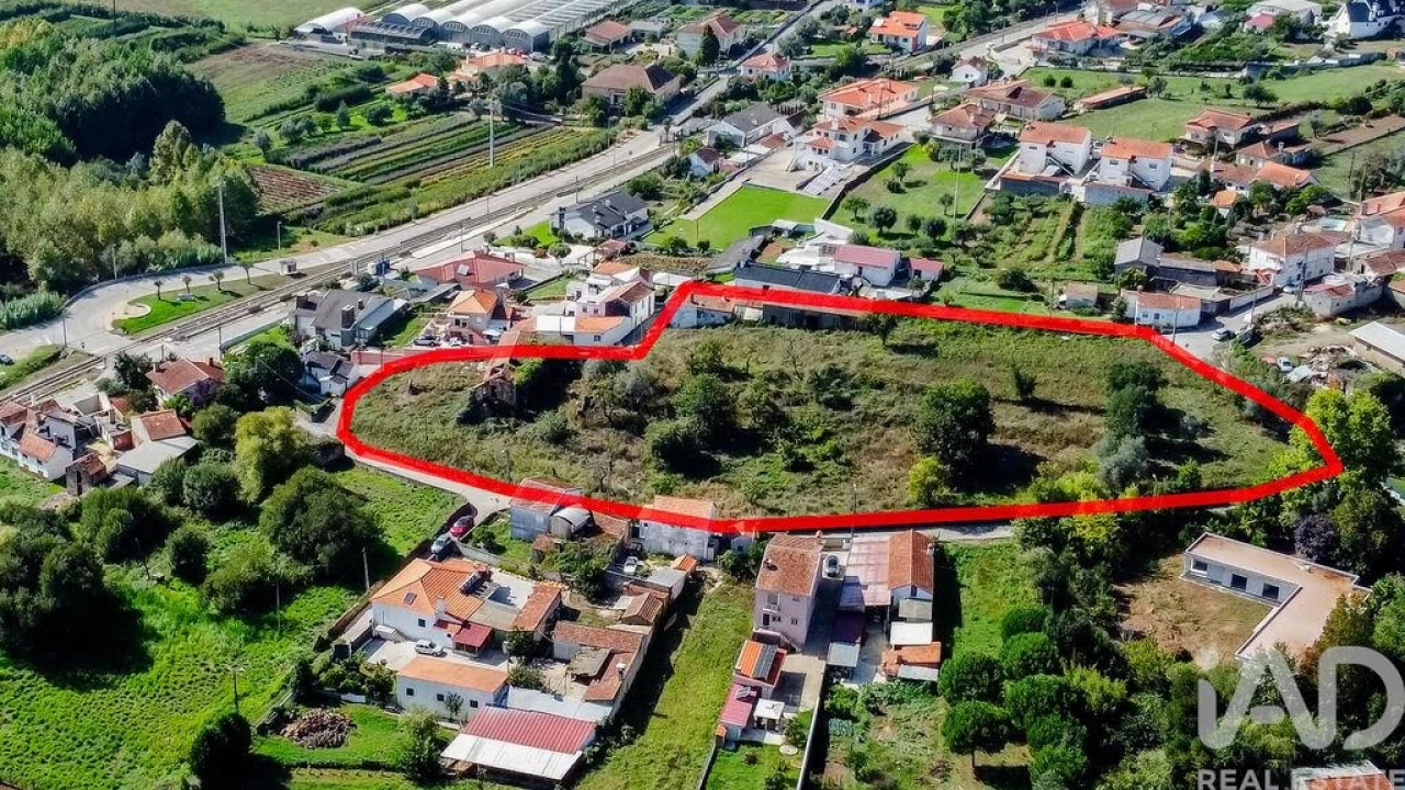 Terreno para Venda em Macinhata do Vouga Foto 13