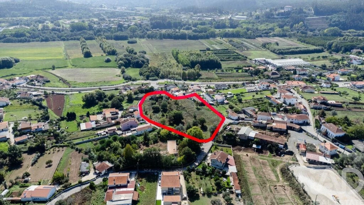 Terreno para Venda em Macinhata do Vouga Foto 6