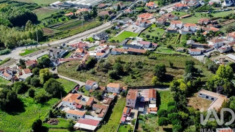 Terreno para Venda em Macinhata do Vouga