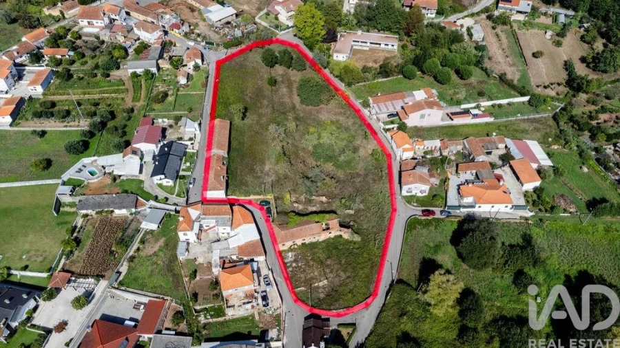 Terreno para Venda em Macinhata do Vouga Foto 2
