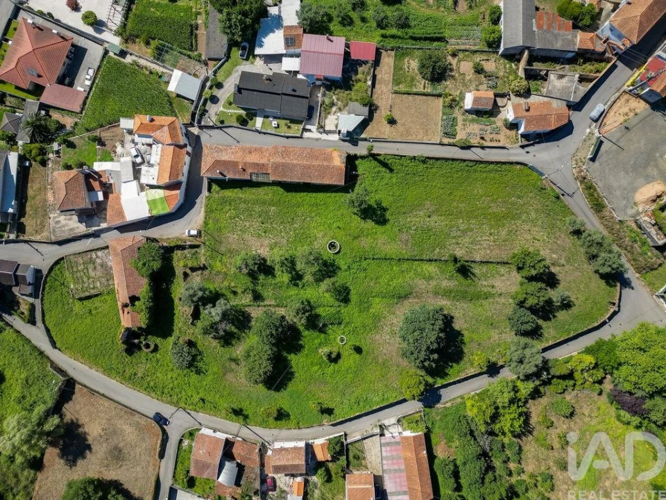 Terreno para Venda em Macinhata do Vouga Foto 1