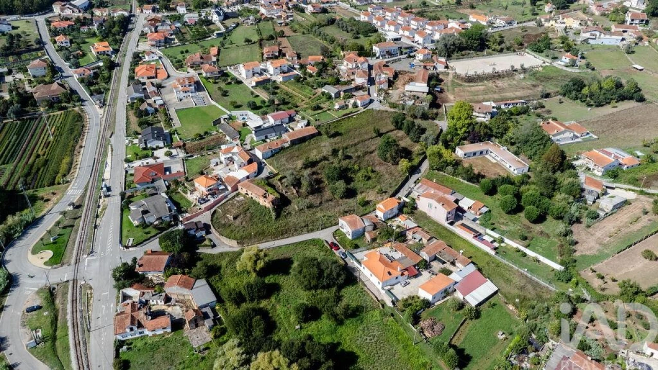 Terreno para Venda em Macinhata do Vouga Foto 4