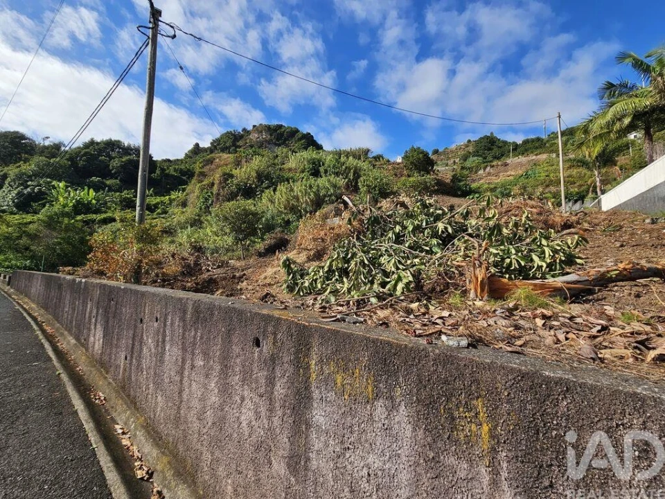 Terreno para Venda em Porto da Cruz Foto 4