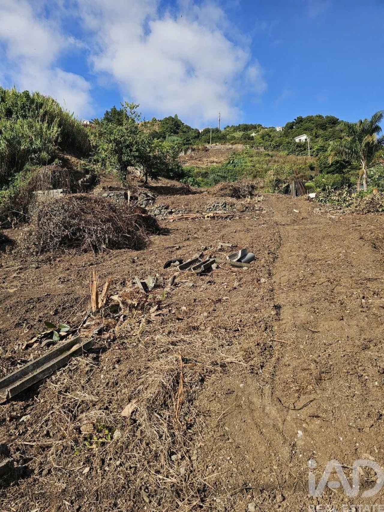 Terreno para Venda em Porto da Cruz Foto 5