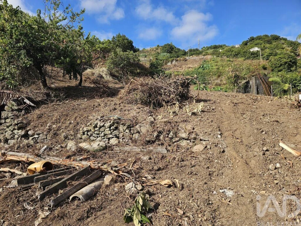 Terreno para Venda em Porto da Cruz Foto 2