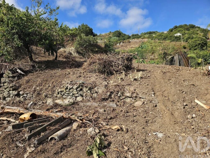 Terreno para Venda em Porto da Cruz Foto 2