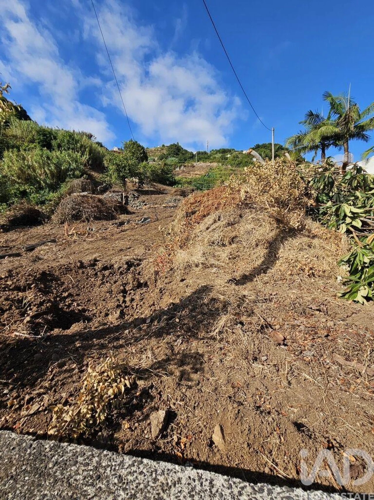 Terreno para Venda em Porto da Cruz Foto 7