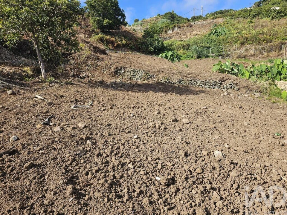 Terreno para Venda em Porto da Cruz Foto 3