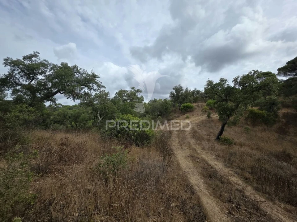 Terreno para Venda em Melides Foto 11