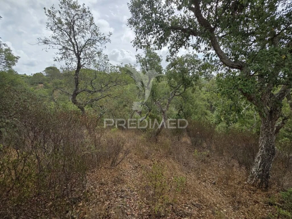 Terreno para Venda em Melides Foto 15