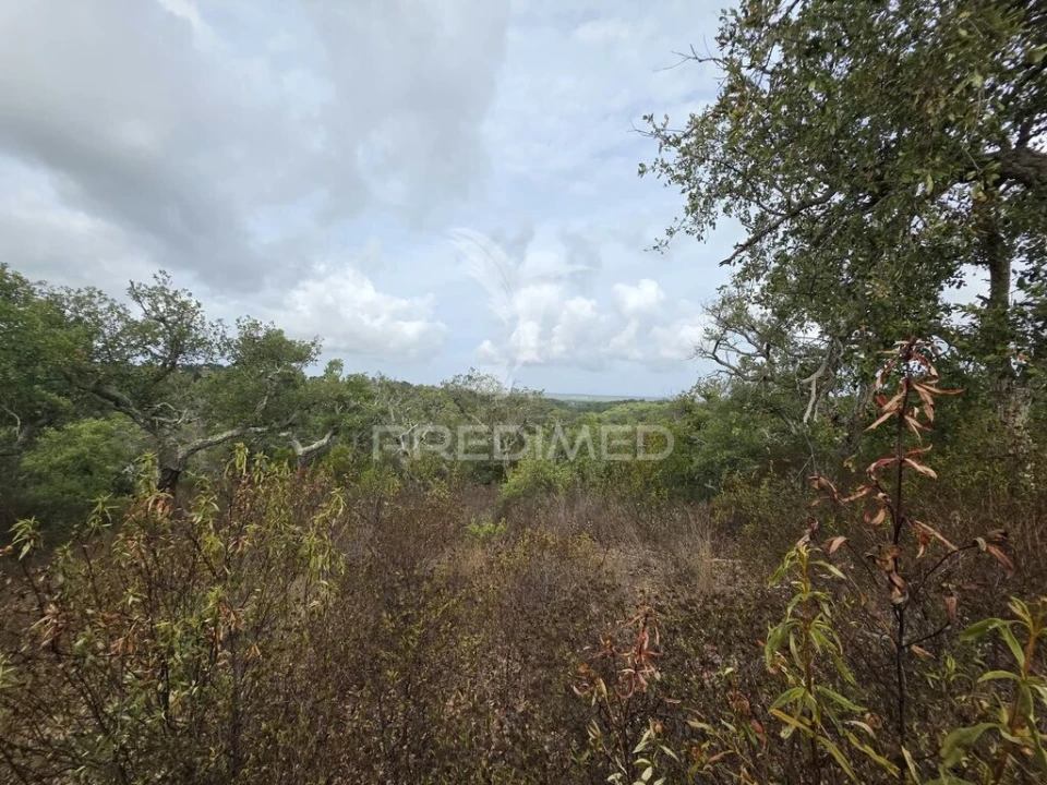 Terreno para Venda em Melides Foto 20