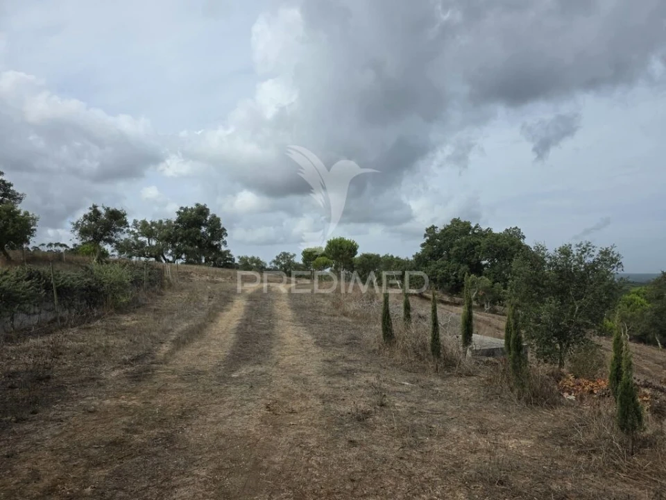 Terreno para Venda em Melides Foto 3