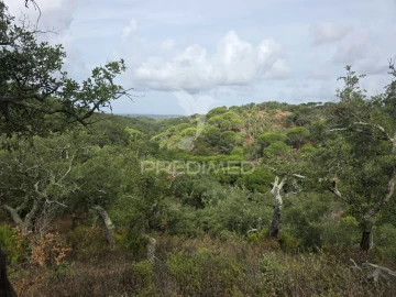 Terreno para Venda em Melides