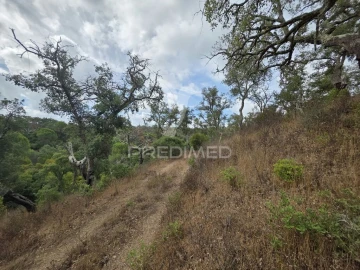Terreno para Venda em Melides