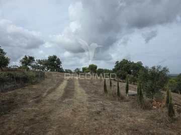 Terreno para Venda em Melides