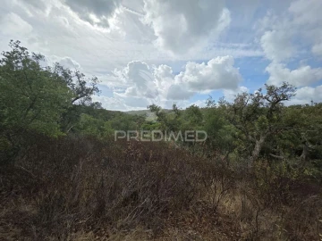 Terreno para Venda em Melides