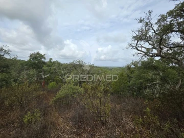 Terreno para Venda em Melides