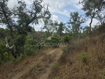 Terreno para Venda em Melides