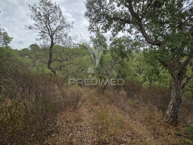 Terreno para Venda em Melides Foto 15