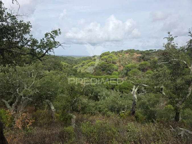 Terreno para Venda em Melides Foto 10